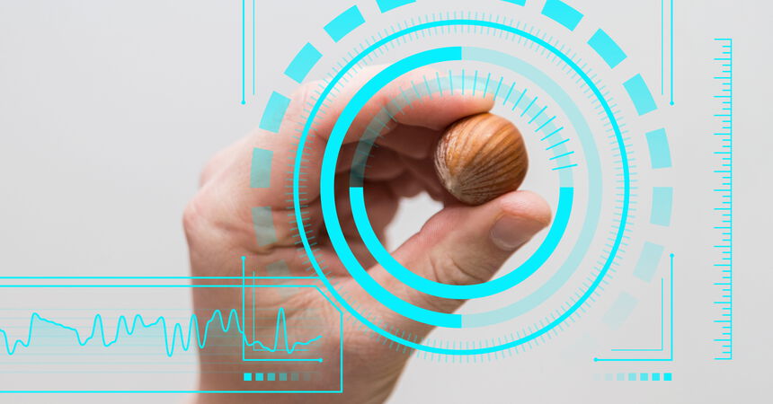 Haselnuss wird mithilfe digitaler Bildanalyse zur automatischen Erkennung und Bewertung von Merkmalen erfasst.